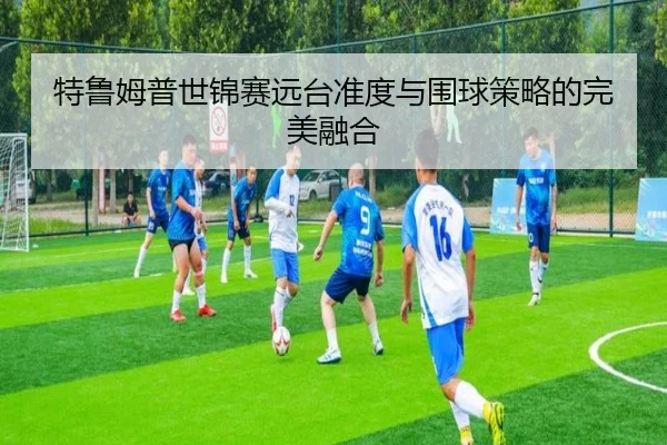 te-lu-mu-pu-shi-jin-sai-yuan-tai-zhun-du-yu-wei-qiu-ce-lve-de-wan-mei-rong-he-2-792.jpg