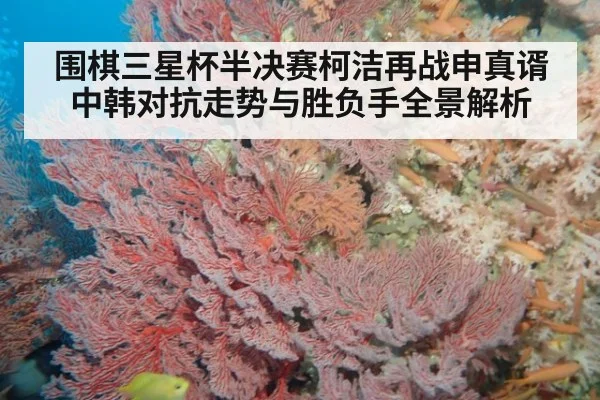 围棋三星杯半决赛柯洁再战申真谞中韩对抗走势与胜负手全景解析